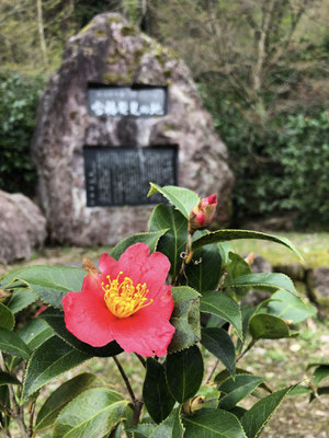 麒麟山いこいの森