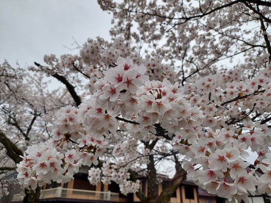 ホテル角神