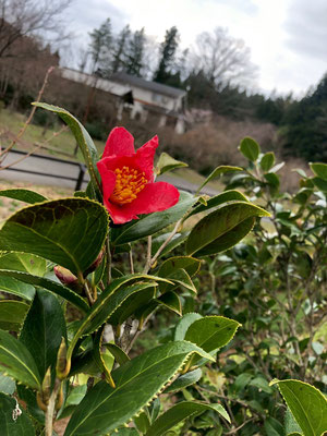 麒麟山いこいの森