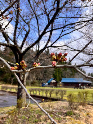 向ノ島公園