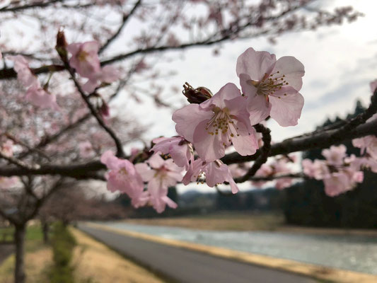 向ノ島公園