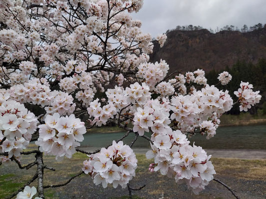 麒麟山公園