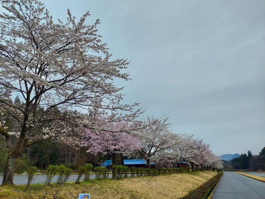 向ノ島公園