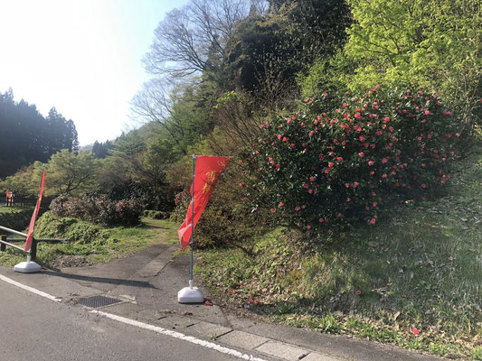 麒麟山いこいの森