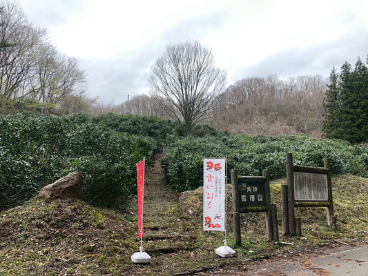 角神雪椿園