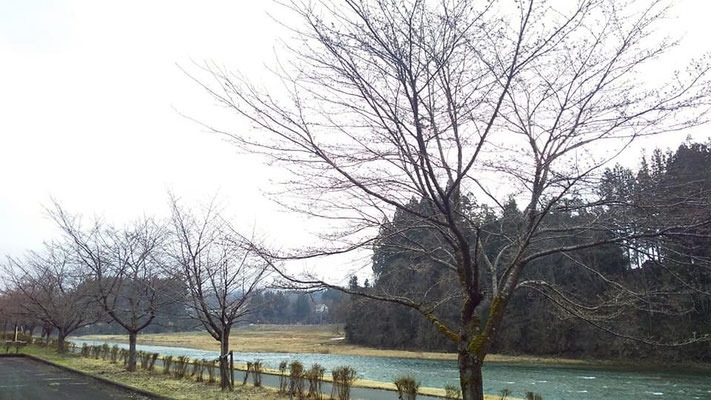 向ノ島公園