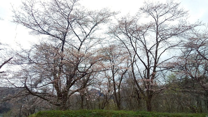揚川ダム