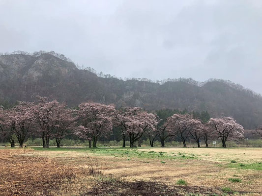 麒麟山公園