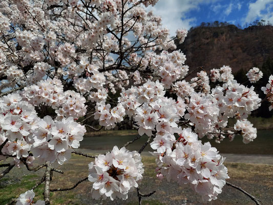 麒麟山公園