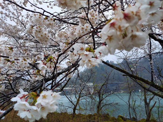 揚川ダム