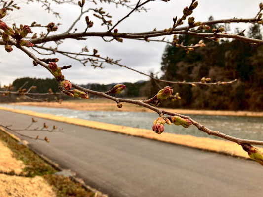 向ノ島公園