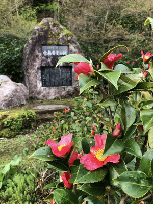 麒麟山いこいの森