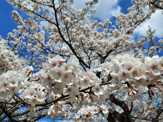 ホテル角神