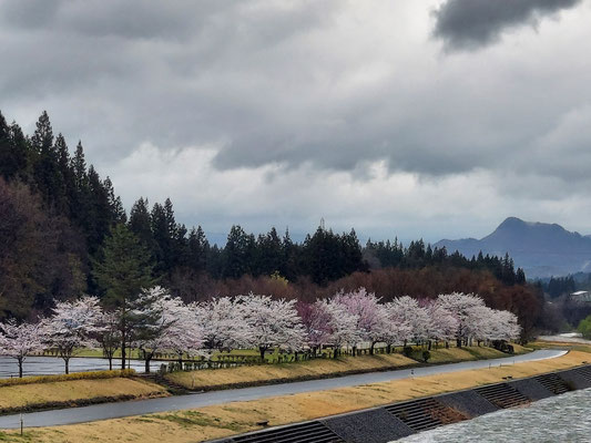 向ノ島公園
