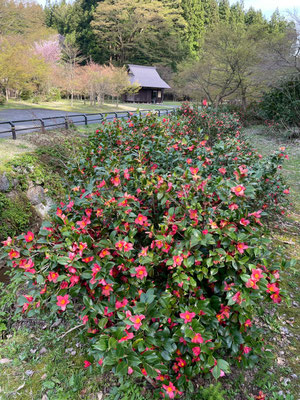 麟山いこいの森