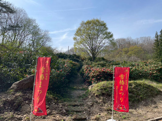 角神雪椿園