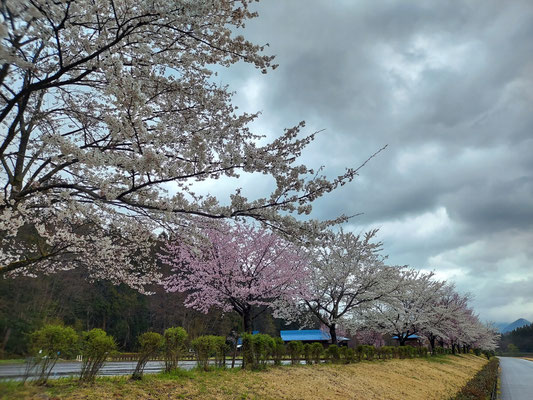向ノ島公園