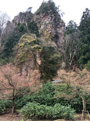 麒麟山いこいの森