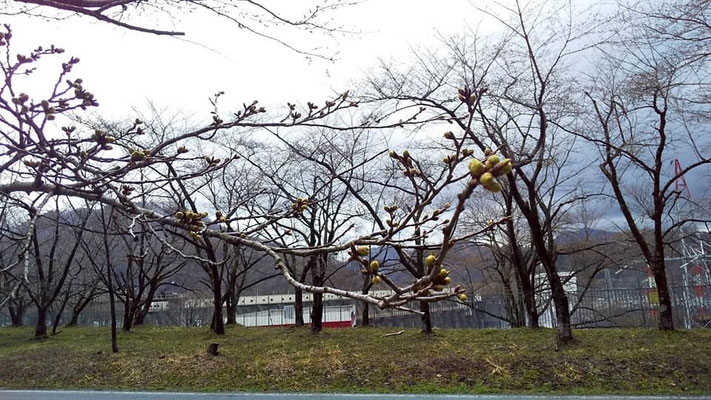 鹿瀬ダム