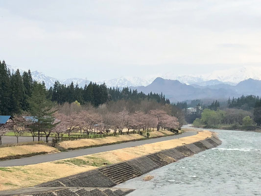 向ノ島公園