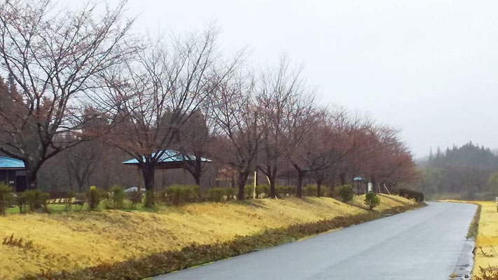 向ノ島公園