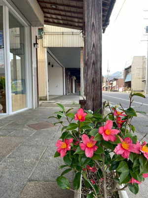 津川とんぼ(雁木)通り
