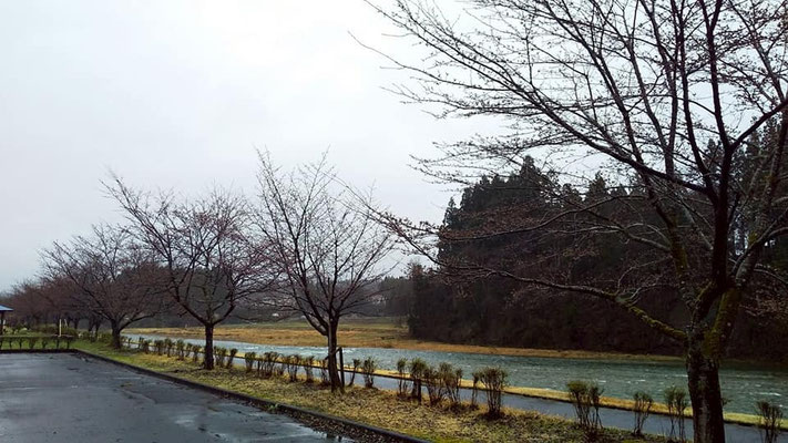 向ノ島公園