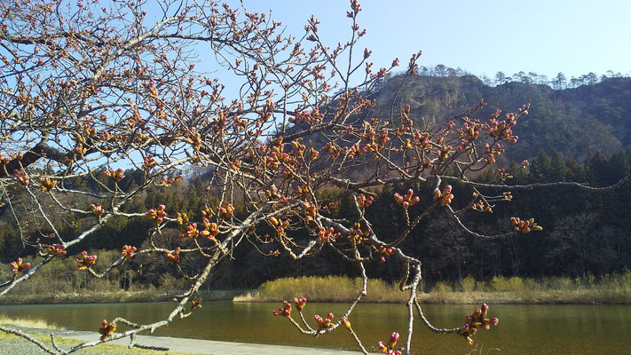 麒麟山公園2