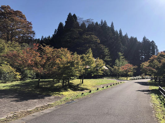 麒麟山いこいの森公園