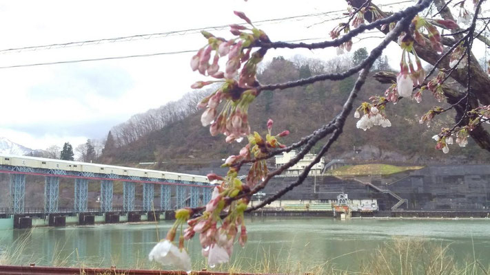 揚川ダム