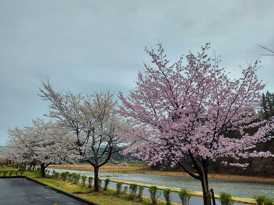 向ノ島公園