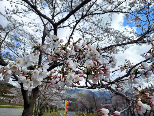 鹿瀬(角神)ダム