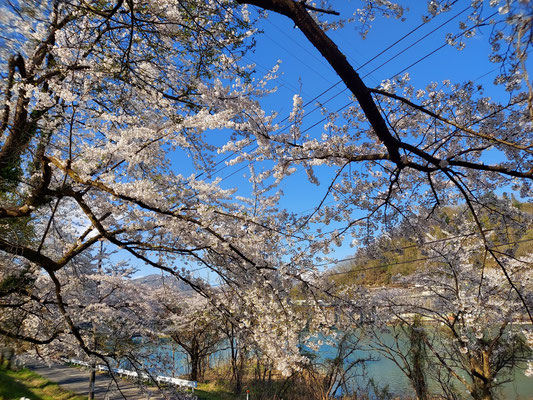 揚川ダム