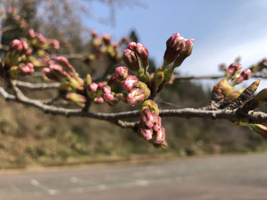 向ノ島公園