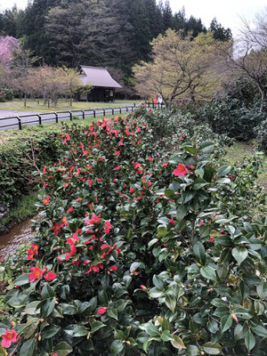 麒麟山いこいの森