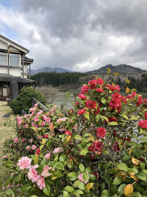 狐の嫁入り屋敷