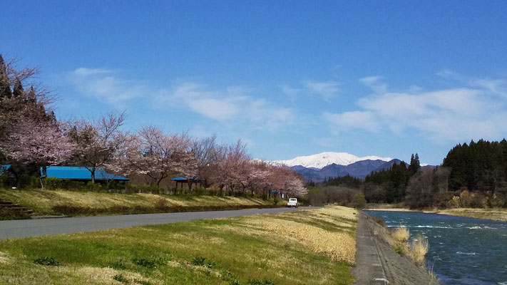 向ノ島公園1