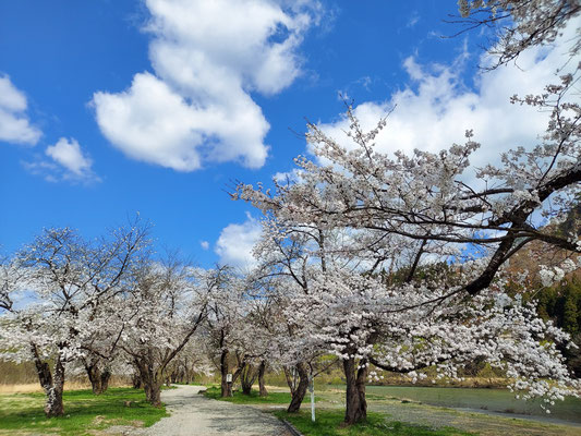 麒麟山公園