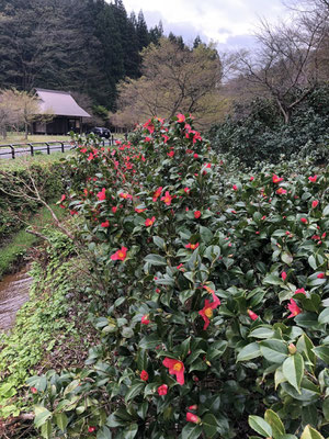 麒麟山いこいの森