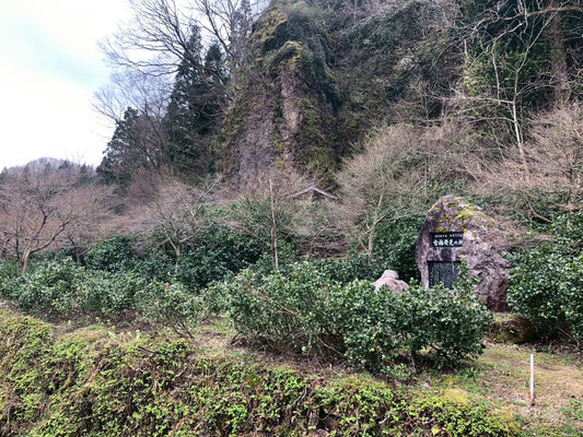 麒麟山いこいの森