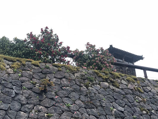 狐の嫁入り屋敷