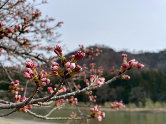 麒麟山公園