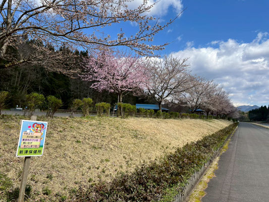 向ノ島公園