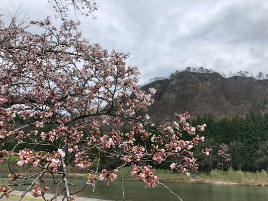麒麟山公園