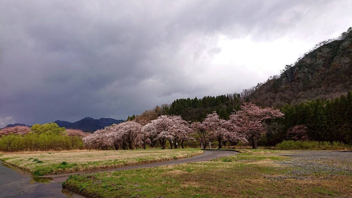 麒麟山公園