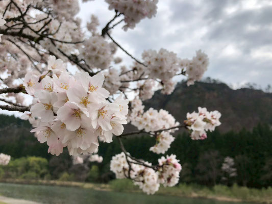 麒麟山公園