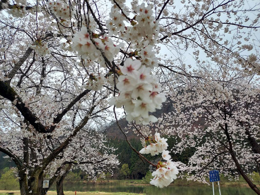 麒麟山公園