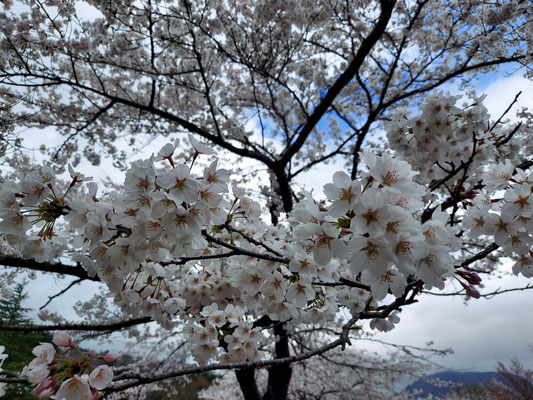 鹿瀬(角神)ダム