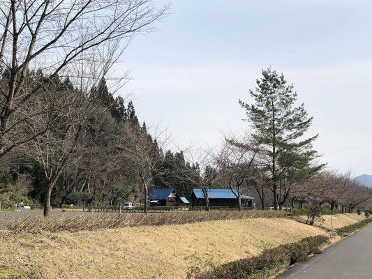 向ノ島公園