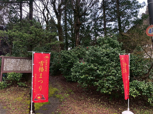 きりん山温泉 雪つばきの宿 古澤屋(訪春園)
